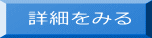 詳細をみる 